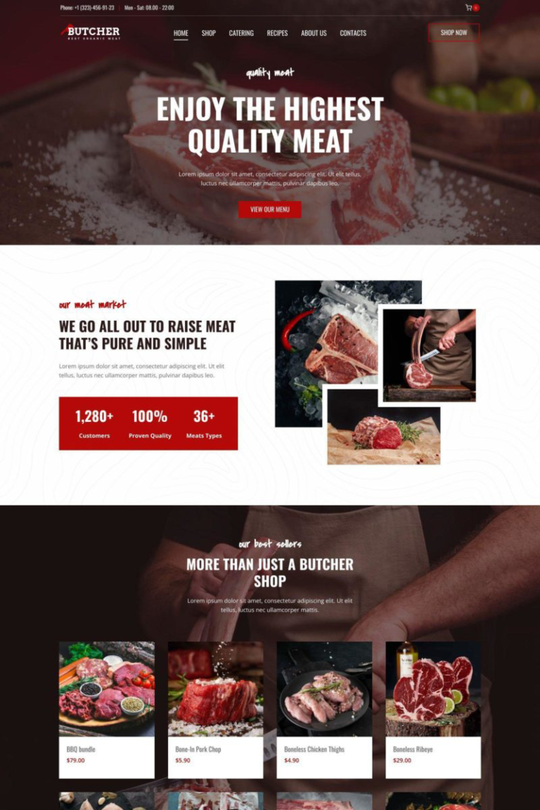 Custom Website Design - Wordpress Website Design With Elementor Insights