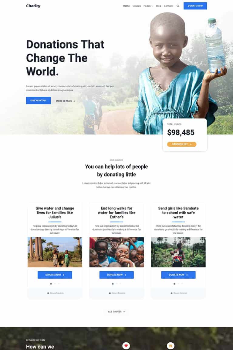Custom Website Design - Wordpress Website Design With Elementor Insights