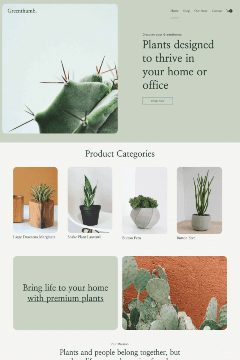 Wordpress Website Design Services - Best Web Design Agency Elementor Insights In Us