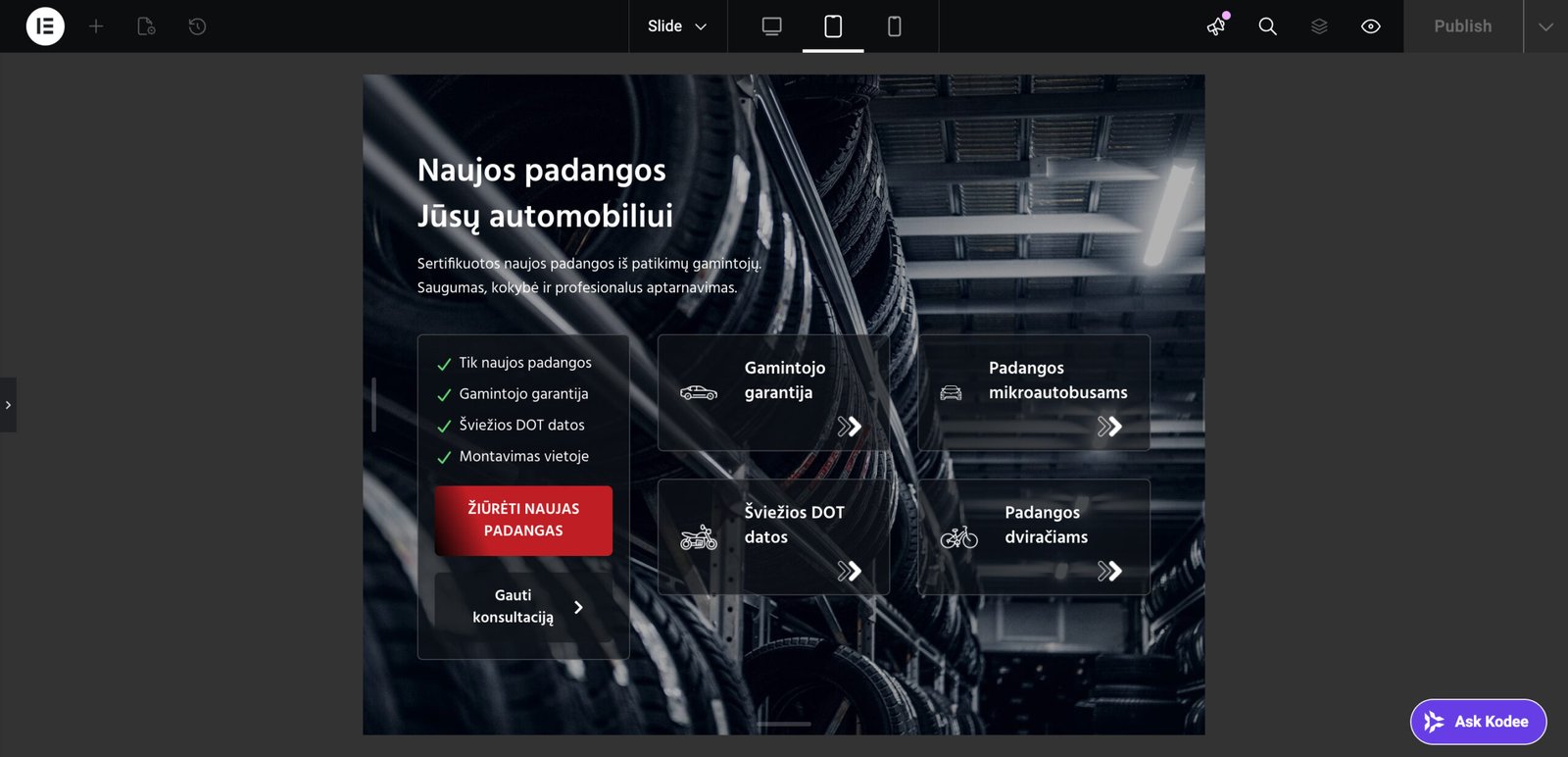 Small Business Website Design 53 ElementorInsights Best Small Business Website Design Services Tablet Slide