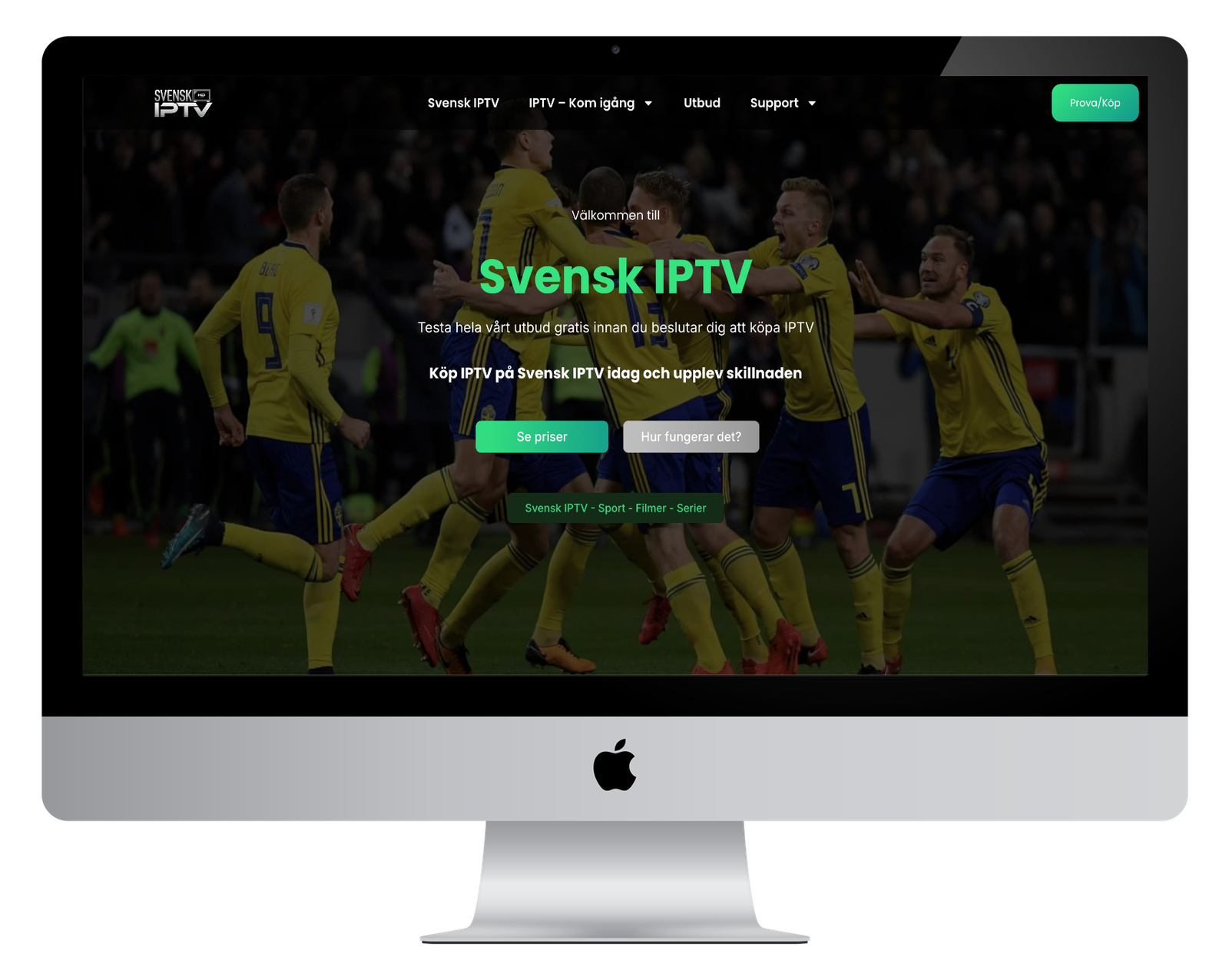 Elementor Insights Homepage Showcasing Expert Wordpress Web Design And Ecommerce Solutions