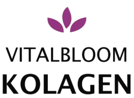 Small Business Website Design 17 ElementorInsights Best Small Business Website Design Services Elementor Insights Homepage Showcasing Expert Wordpress Web Design And Ecommerce Solutions